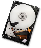 Hitachi Ultrastar A7K2000, 1TB (0A39289)